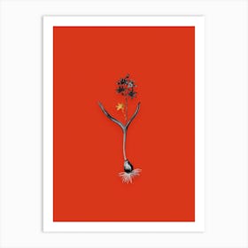 Vintage Alpine Squill Black and White Gold Leaf Floral Art on Tomato Red n.0922 Art Print