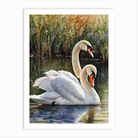 Mute Swan Art Print