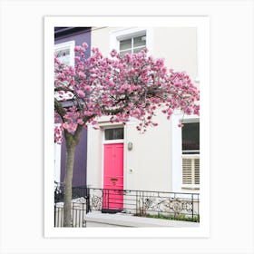 Pink Door Cherry Blossom Art Print