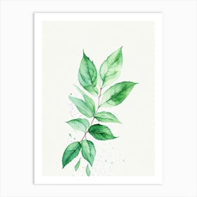 Peppermint Leaf Minimalist Watercolour 2 Art Print