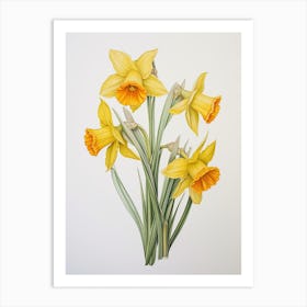 Daffodils Flower Vintage Botanical 0 Art Print