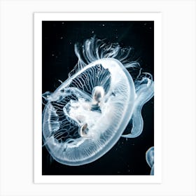 Jellyfish 2 Art Print