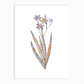 Stained Glass Blackberry Lily Mosaic Botanical Illustration on White n.0357 Art Print