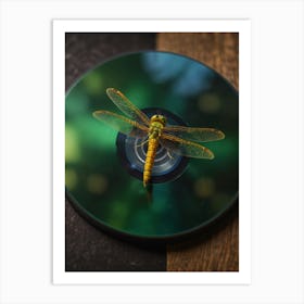 Dragonfly On Cd Art Print