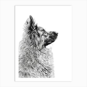 Belgian Tervuren Dog Line Sketch 1 Art Print