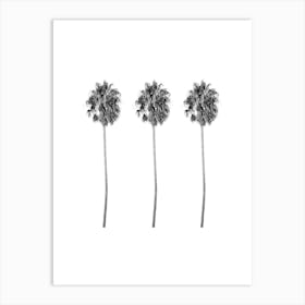 Three Palm Trees Summer Black and White Minimalist Boho Art Print Art Print