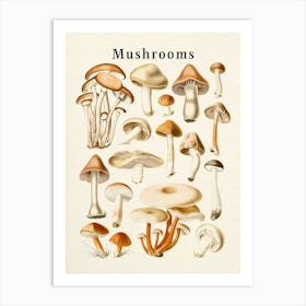 Mushrooms Collection Art Print