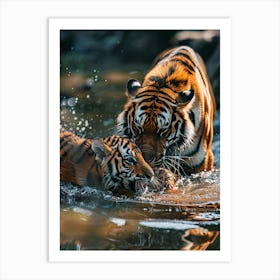 Tiger Cubs Playing In Water Art Print