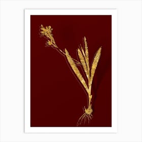 Vintage Gladiolus Mucronatus Botanical in Gold on Red n.0289 Art Print