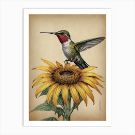 Hummingbird On Sunflower Art Print