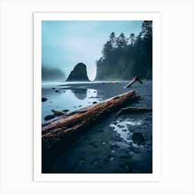 Driftwood On The Beach 2 Art Print