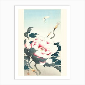 Peony With Butterfly (1925 1936), Ohara Koson Art Print