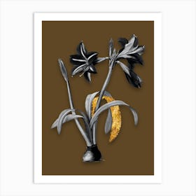 Vintage Brazilian Amaryllis Black and White Gold Leaf Floral Art on Coffee Brown n.1028 Art Print