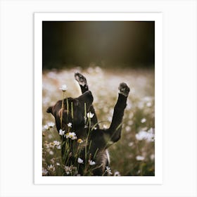 Puppy Reaching for the Flowers - Gavers, Belgium Flower field photo print - moody animal photography art Art Print