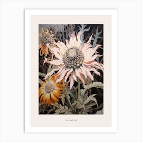 Flower Illustration Edelweiss 3 Poster Art Print