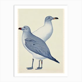 Seagull Illustration Bird Art Print