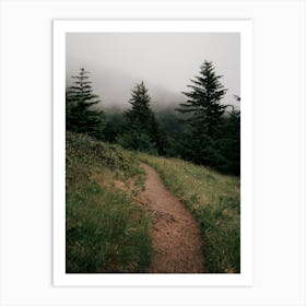 Forest Trail IV Art Print