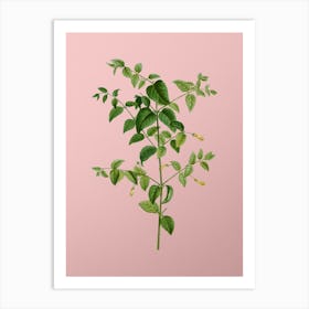 Vintage Tree Fuchsia Botanical on Soft Pink n.0805 Art Print