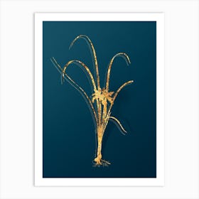 Vintage Grass Leaved Iris Botanical in Gold on Teal Blue n.0291 Art Print