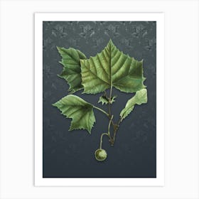 Vintage American Sycamore Botanical on Slate Gray Pattern n.1642 Art Print