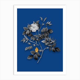 Vintage Malmedy Rose Black and White Gold Leaf Floral Art on Midnight Blue n.1073 Art Print