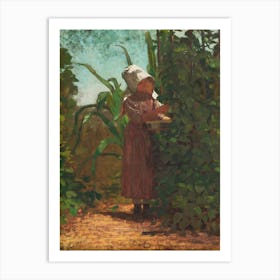 The Bean Picker, Winslow Homer Art Print