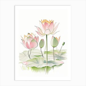 Lotus Flowers In Park Pencil Illustration 3 Art Print