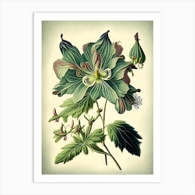 Columbine Wildflower Vintage Botanical 2 Art Print