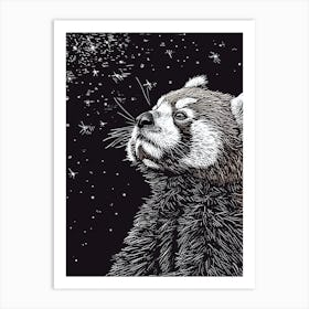 Red Panda Looking At A Starry Sky Ink Illustration 4 Art Print