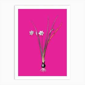 Vintage Daffodil Black and White Gold Leaf Floral Art on Hot Pink n.0378 Art Print
