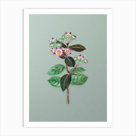 Vintage Tall Calotropis Flower Botanical Art on Mint Green n.0575 Art Print