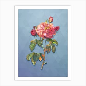 Vintage Duchess Of Orleans Rose Botanical Art on Summer Song Blue n.1916 Art Print