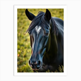 Black Horse Portrait Art Print