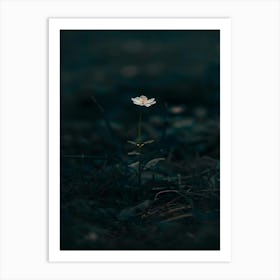 Single Flower In The Dark 39 Art Print