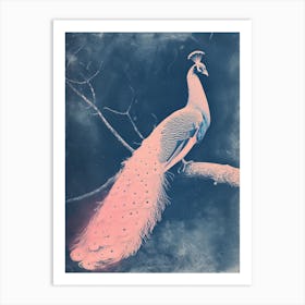 Blue & Pink Peacock On A Tree 2 Art Print