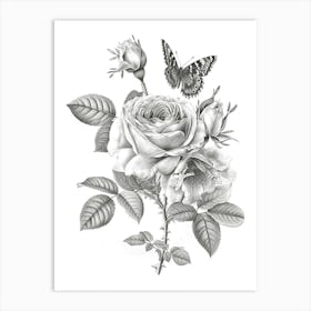 Rose With Butterfly Line Drawing 2 Art Print