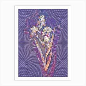 Geometric Elder Scented Iris Mosaic Botanical Art on Veri Peri n.0330 Art Print