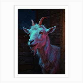 Goat At Night Art Print