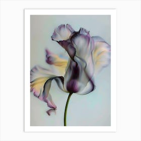 Abstract modern Tulip flower Art Print