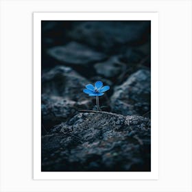 Blue Flower 16 Art Print