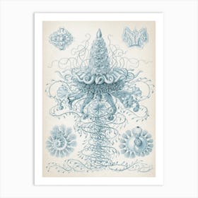 Vintage Haeckel 7 Tafel 37 Staatsquallen Art Print