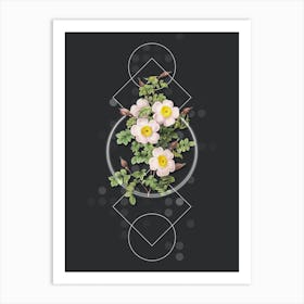 Vintage Thornless Burnet Rose Botanical with Geometric Line Motif and Dot Pattern n.0149 Art Print
