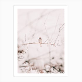 Little Snowy Bird Art Print