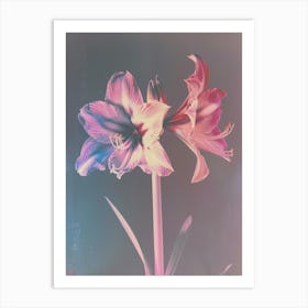 Iridescent Flower Amaryllis 1 Art Print