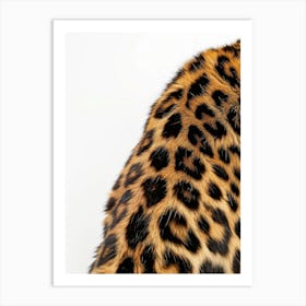 Leopard On A White Background Art Print