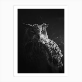 Winking Owl Black And White Art Print