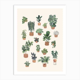 Plants Collection 4 Art Print