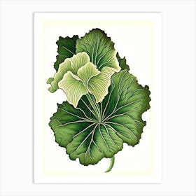 Primrose Leaf Vintage Botanical 3 Art Print