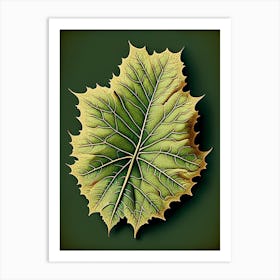 Sycamore Leaf Vintage Botanical 3 Art Print