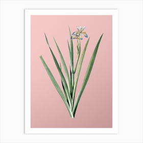 Vintage Stinking Iris Botanical on Soft Pink n.0931 Art Print
